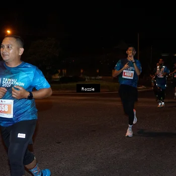 Runner Photo 4550362