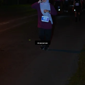 Runner Photo 4550379