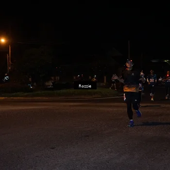 Runner Photo 4550407