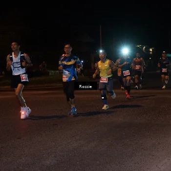 Runner Photo 4550459