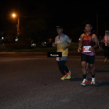 Runner Photo 4550485