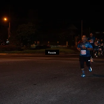 Runner Photo 4550491
