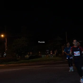 Runner Photo 4550608