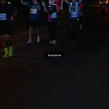 Runner Photo 4550623