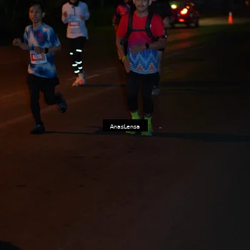 Runner Photo 4550626