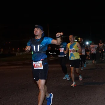 Runner Photo 4550659