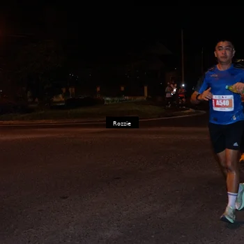 Runner Photo 4550748