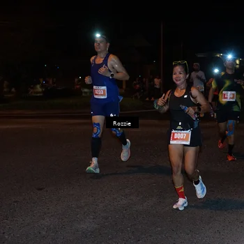 Runner Photo 4550771