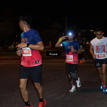 Runner Photo 4550859