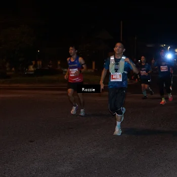Runner Photo 4551078