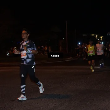 Runner Photo 4551754