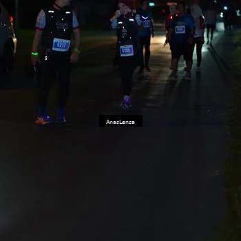 Runner Photo 4552169