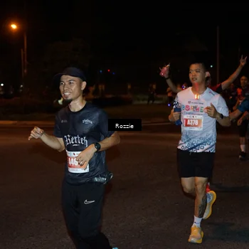Runner Photo 4552278