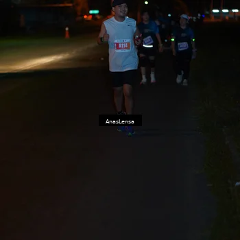 Runner Photo 4553987