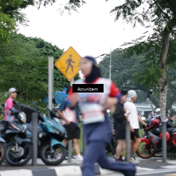 Runner Photo 4555186