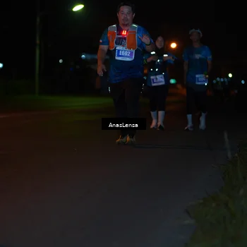 Runner Photo 4556410