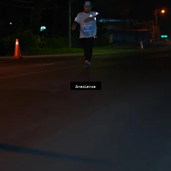 Runner Photo 4557094