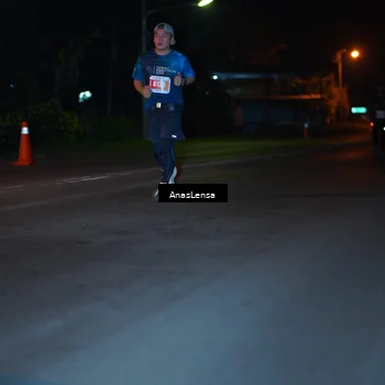 Runner Photo 4557840