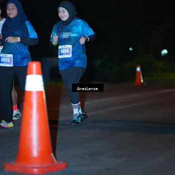 Runner Photo 4558094