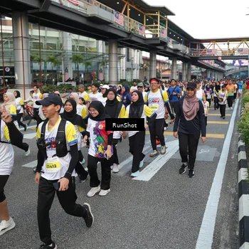 Runner Photo 4559271