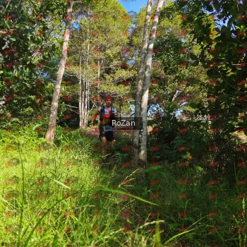 Runner Photo 4569