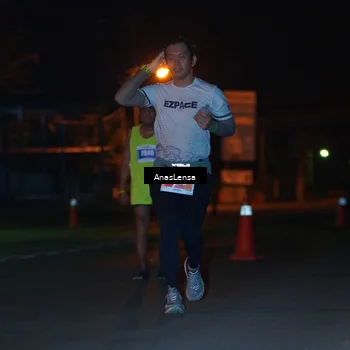 Runner Photo 4572199