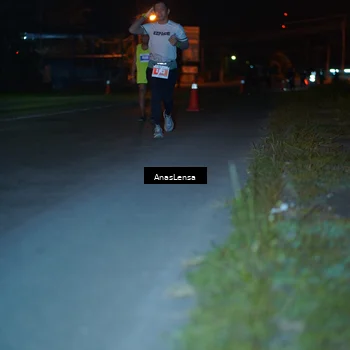 Runner Photo 4572206