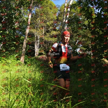 Runner Photo 4573