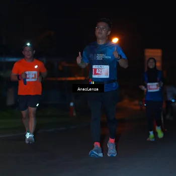 Runner Photo 4574184