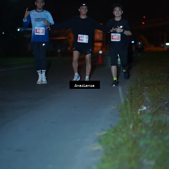 Runner Photo 4575891