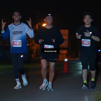 Runner Photo 4575898