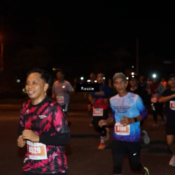 Runner Photo 4583130