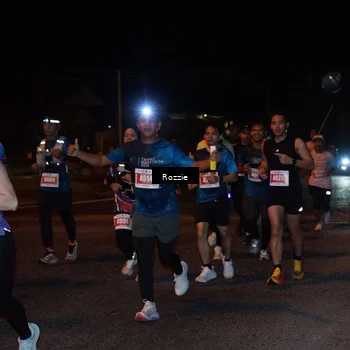 Runner Photo 4583347