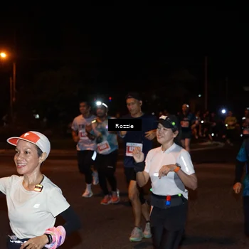 Runner Photo 4583529