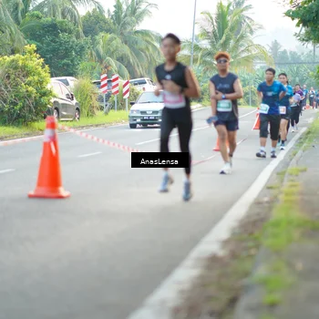 Runner Photo 4584249