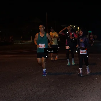 Runner Photo 4584633