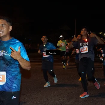 Runner Photo 4586406