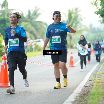 Runner Photo 4587879