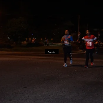 Runner Photo 4590477