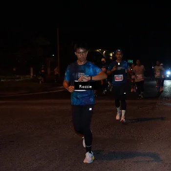 Runner Photo 4593703