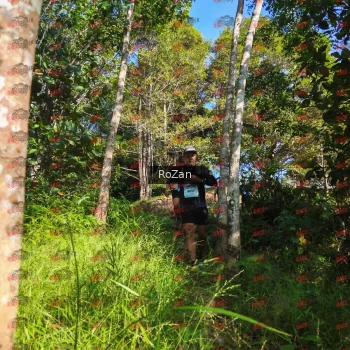 Runner Photo 4595
