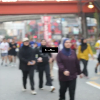 Runner Photo 4596148