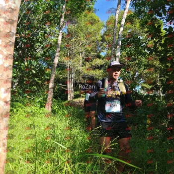 Runner Photo 4599