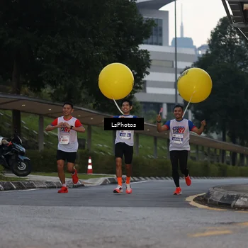 Runner Photo 4600267