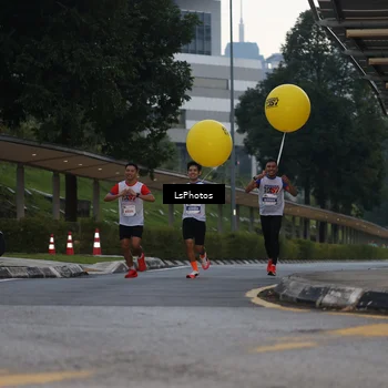 Runner Photo 4600416