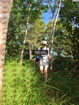 Runner Photo 4610