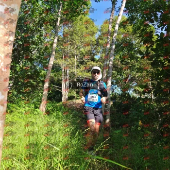 Runner Photo 4616