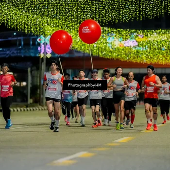Runner Photo 4634185