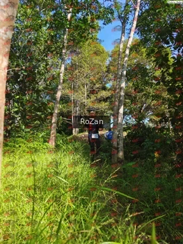 Runner Photo 4637
