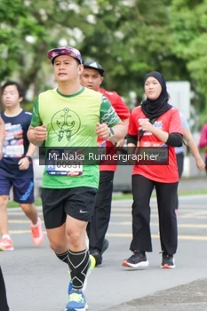 Runner Photo 46482